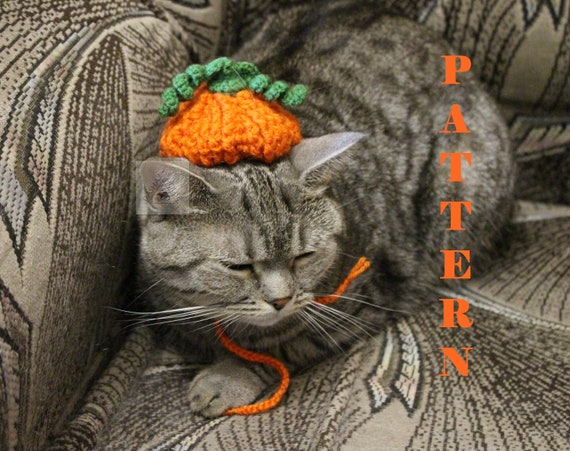 Cat Pumpkin Hat Crochet Pattern 