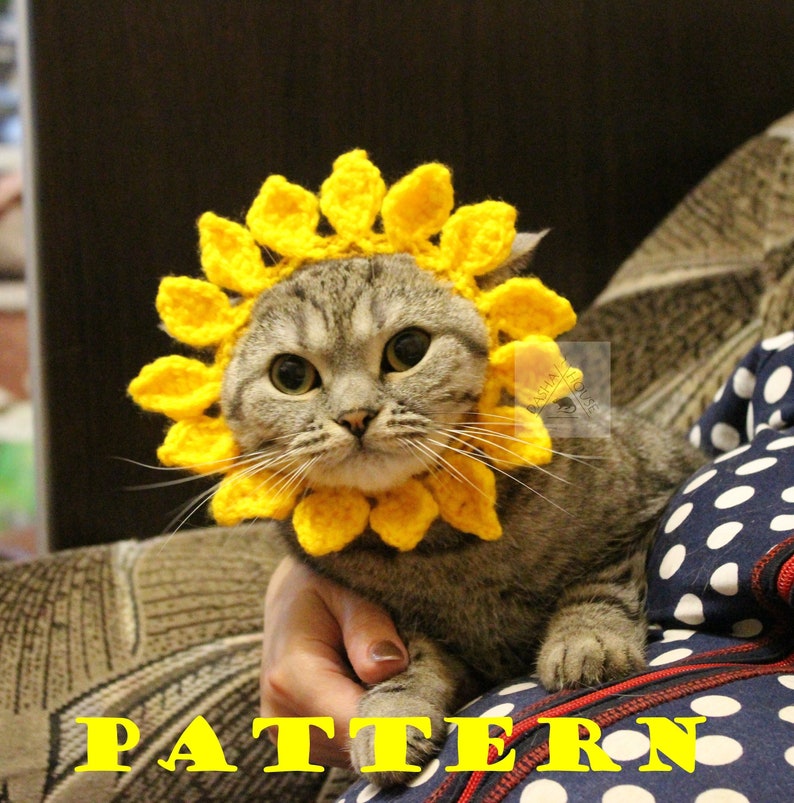 May include: A gray tabby cat wearing a bright yellow crocheted sunflower collar. The cat is looking directly at the camera. The word "PATTERN" is written in yellow block letters at the bottom of the image.