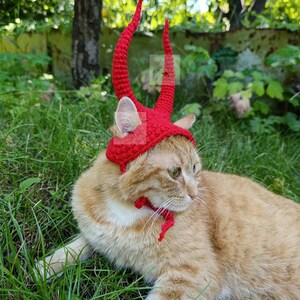 May include: A bright red crocheted pet hat featuring two tall, curved horns extending from the top. The hat is designed with ear holes and includes a thin red crocheted strap that ties securely under the chin to keep the accessory in place.