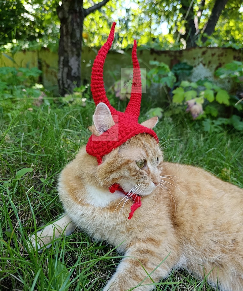 May include: A bright red crocheted pet hat featuring two tall, curved horns extending from the top. The hat is designed with ear holes and includes a thin red crocheted strap that ties securely under the chin to keep the accessory in place.