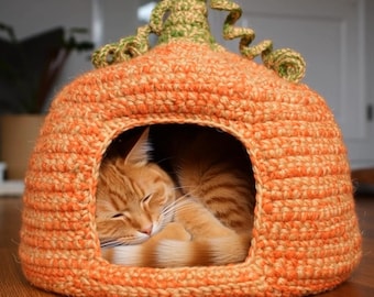 Op de afbeelding: Een oranje gehaakt kattenbed in de vorm van een pompoen, met een groene stengel en een krullende rank. Een oranje tijgerkat slaapt in het bed. Het bed staat op een houten vloer.