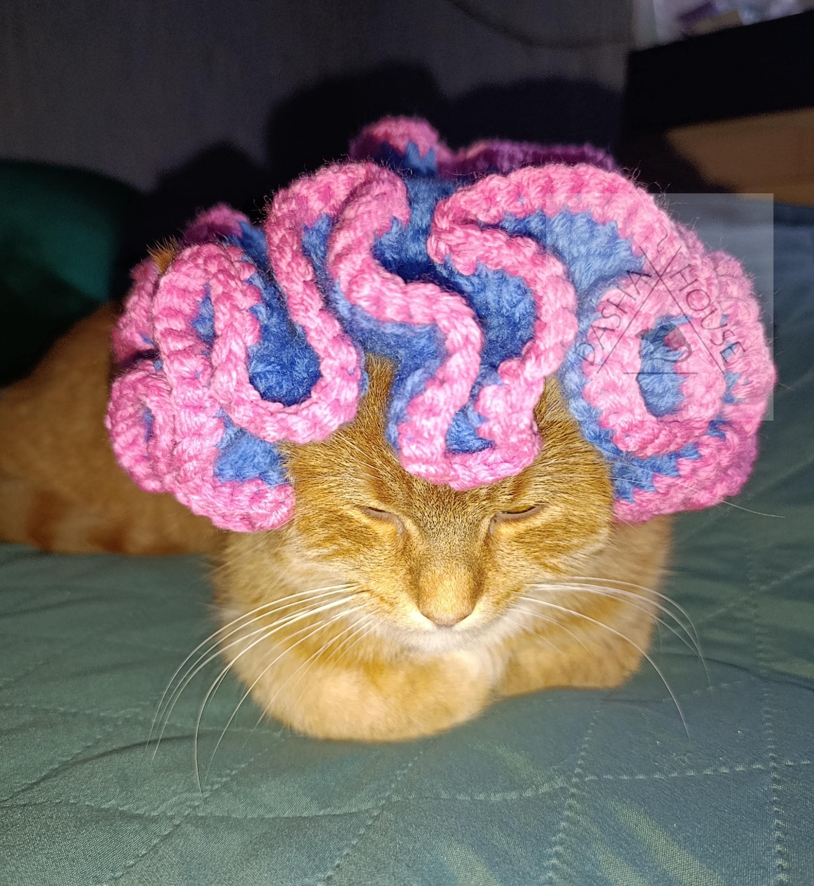 Crochet Ruffle Cat Hat Pattern, Boho Chic Pet Beanie (PDF Download) - Etsy