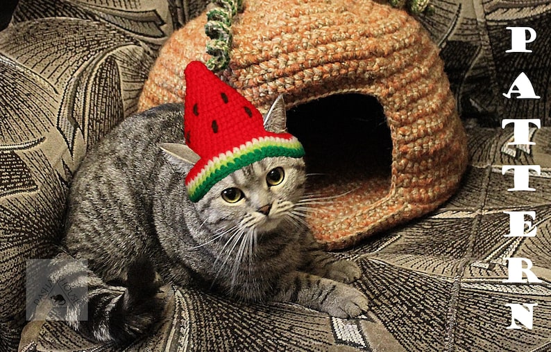 Watermelon Hat Cat Crochet Pattern/ Party Watermelon Hat for Etsy
