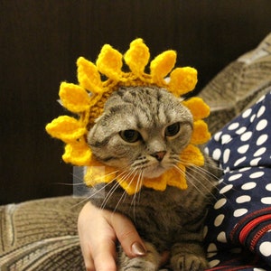 May include: A gray tabby cat wearing a handmade yellow crochet sunflower collar. The sunflower has a brown center and bright yellow petals. The cat is being held by a person, and the background is blurred.
