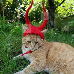 May include: A bright red crocheted headpiece featuring two tall, curved horns attached to a base that fits over the head. The accessory includes thin red ties that fasten under the chin, designed for a cat with orange and white fur.