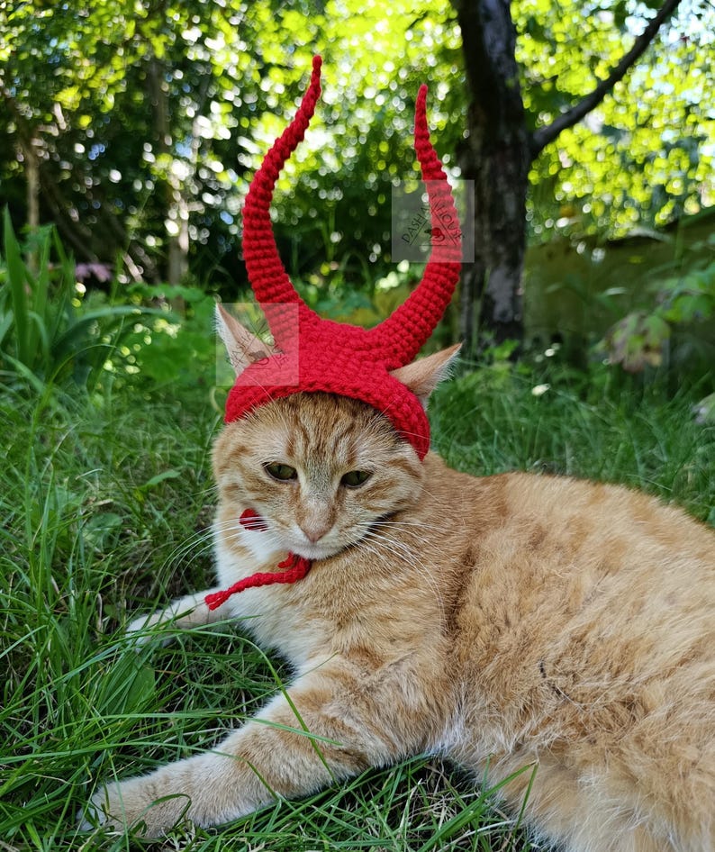 May include: A bright red crocheted headpiece featuring two tall, curved horns attached to a base that fits over the head. The accessory includes thin red ties that fasten under the chin, designed for a cat with orange and white fur.