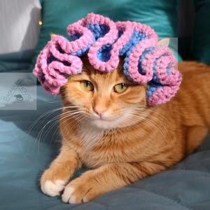 Könnte beinhalten: Eine orangefarbene Katze trägt ein handgefertigtes Häkel-Kopfstück in Rosa und Blau. Die Katze liegt auf einer türkisblauen Oberfläche und blickt direkt in die Kamera. Das Kopfstück ist ein skurriles, dekoratives Element.