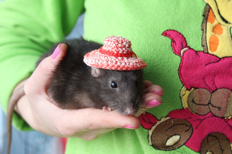 Beach Hat for pets Guinea pig Hat Straw Hat for HedgehogSun Hat for Rat Bearded Dragon Hat Hamster hat Pets Summer Hat Hedgehog hat