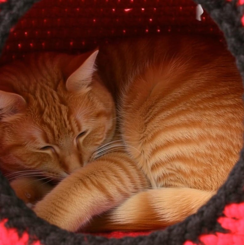 Cat bed crochet pattern/ Small dog cave bed/ Calabash-house DIY (Digital PDF) image 9