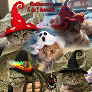 Wzór na szydełkowe czapki dla kota i psa na Halloween: czarownica, rasta, duch, dynia, grzyb (pobierz plik PDF)
