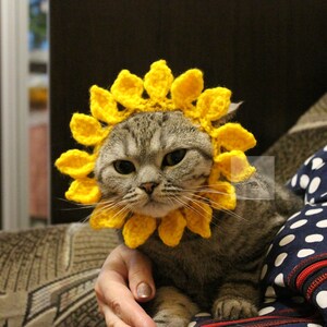 May include: A gray tabby cat wearing a bright yellow crocheted sunflower collar. The sunflower petals frame the cat's face, creating a whimsical and playful look. The cat is being held by a person.