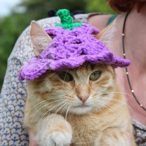 Bellflower hat for cat, small dog Crochet Pattern/ Party Hat for Cat pattern/ Bluebell cat hat DIY/ Summer hat for dog, cat/ Cat bucket hat