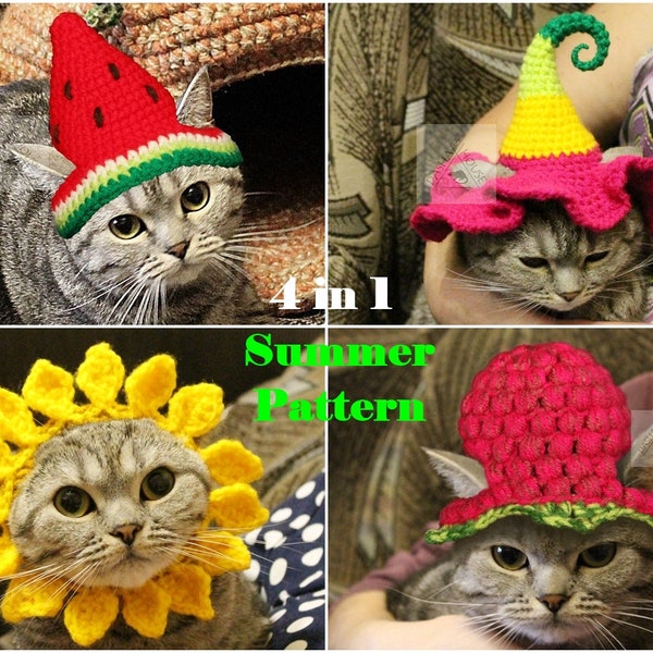 Crochet pattern set 4 in 1 Summer hats for cat/ Flower and Sunflower hats for cat pattern/ Berry hat for cat/ Watermelon Hat cat pattern