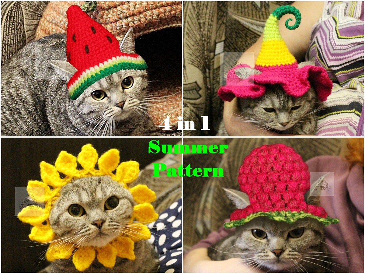 Crochet Pattern Set 4 in 1 Summer Hats for Cat/ Flower and Etsy