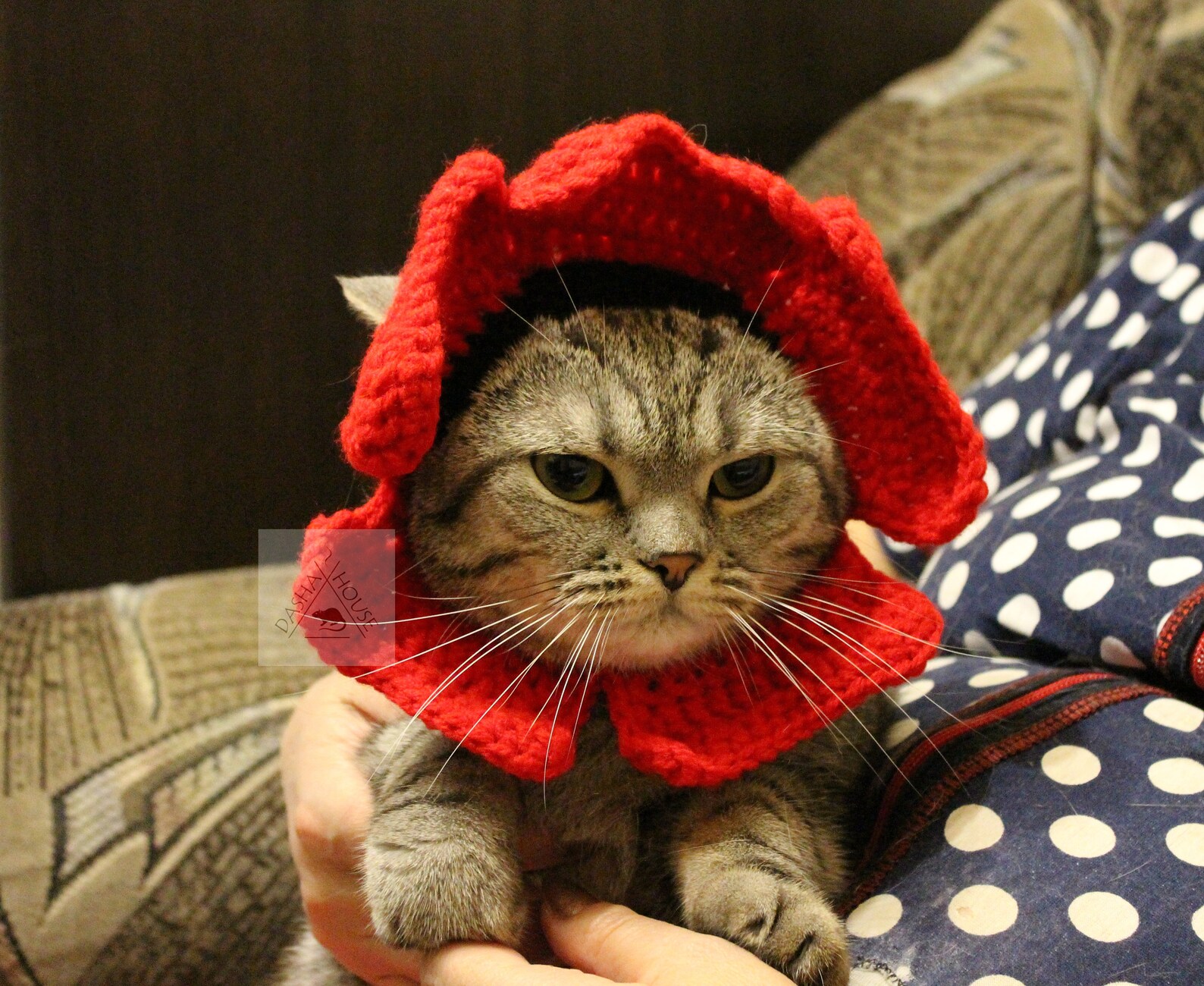 Cat Flower Headband Pattern/ Cat Flower Hat Crochet Pattern/ Etsy