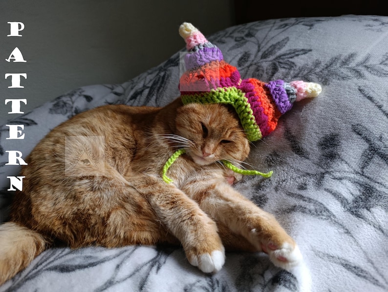 May include: A ginger cat wearing a colorful, crocheted hat with a spiral design. The hat features shades of pink, orange, green, and purple. The cat is lying on a gray patterned blanket, with the word "PATTERN" in white letters on the left.
