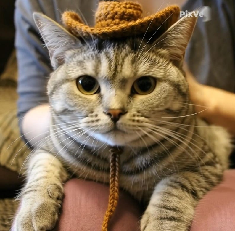 Puede incluir: Un gato atigrado gris que lleva un peque&ntilde;o sombrero de vaquero marr&oacute;n tejido a ganchillo. El gato tiene ojos grandes y redondos de color amarillo y una correa trenzada marr&oacute;n para la barbilla. El gato est&aacute; descansando en el regazo de una persona, con las patas delanteras del gato visibles.