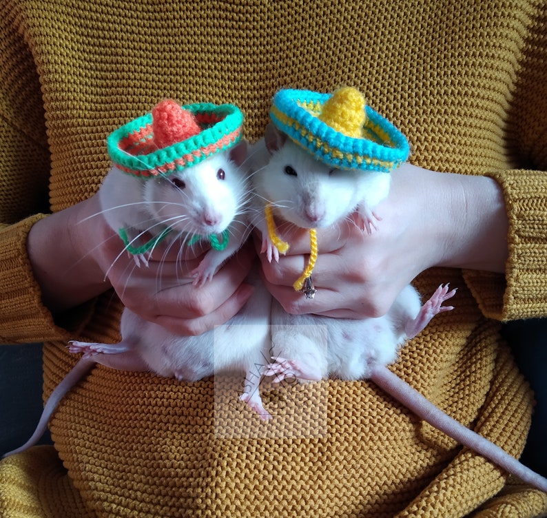 Sombrero Hat/ Hedgehog Chinchilla Bearded Dragon Rat image 0