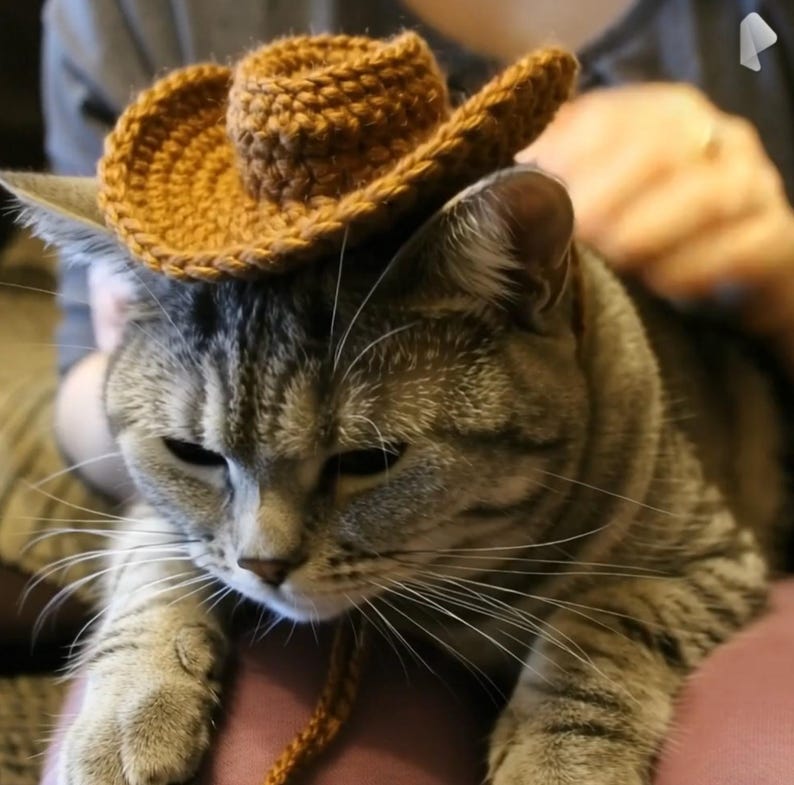 Puede incluir: Un gato atigrado con un peque&ntilde;o sombrero de vaquero marr&oacute;n tejido a ganchillo. El sombrero tiene una copa redondeada y un ala ancha. El gato est&aacute; tumbado, con la cara y los bigotes visibles. El sombrero est&aacute; asegurado con un cord&oacute;n marr&oacute;n a juego.