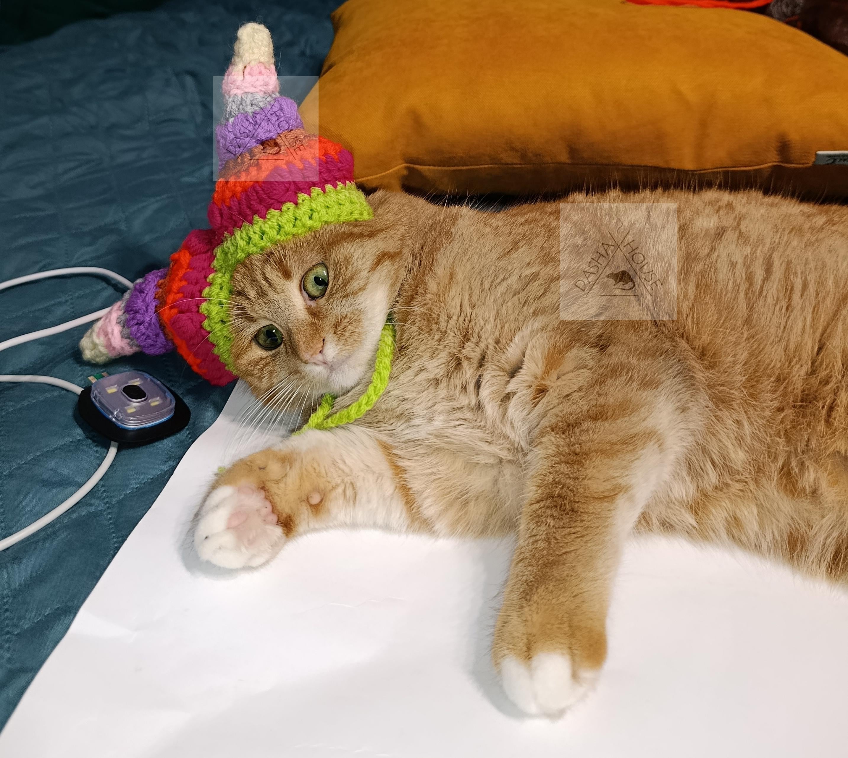 30 Cat Beanie Crochet Patterns to Explore: Cozy Ears, Ribbing, and Playful Styles 23 Crochet Jester Hat for cat and small dog Pattern/ Bard