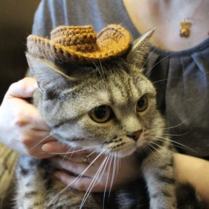 Puede incluir: Un gato atigrado con un peque&ntilde;o sombrero de vaquero de ganchillo marr&oacute;n. El gato est&aacute; siendo sostenido por una persona, con la cara y el sombrero del gato enfocados. El sombrero es una versi&oacute;n en miniatura de un sombrero de vaquero.