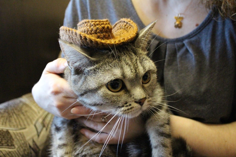 Puede incluir: Un gato atigrado con un peque&ntilde;o sombrero de vaquero de ganchillo marr&oacute;n. El gato est&aacute; siendo sostenido por una persona, con la cara y el sombrero del gato enfocados. El sombrero es una versi&oacute;n en miniatura de un sombrero de vaquero.