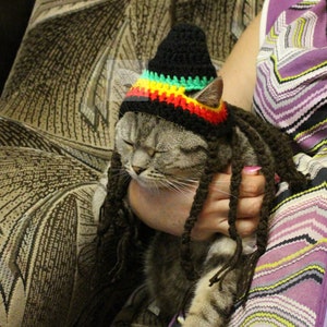 Crochet Pattern Cat Rasta Hat/ Small Dog Costume (PDF Download) image 4