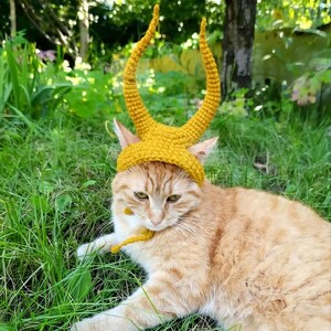 Cat Hat with Horns Crochet Pattern/ Funny Pet Costume/ Dog Devil Horns (PDF Download) image 4