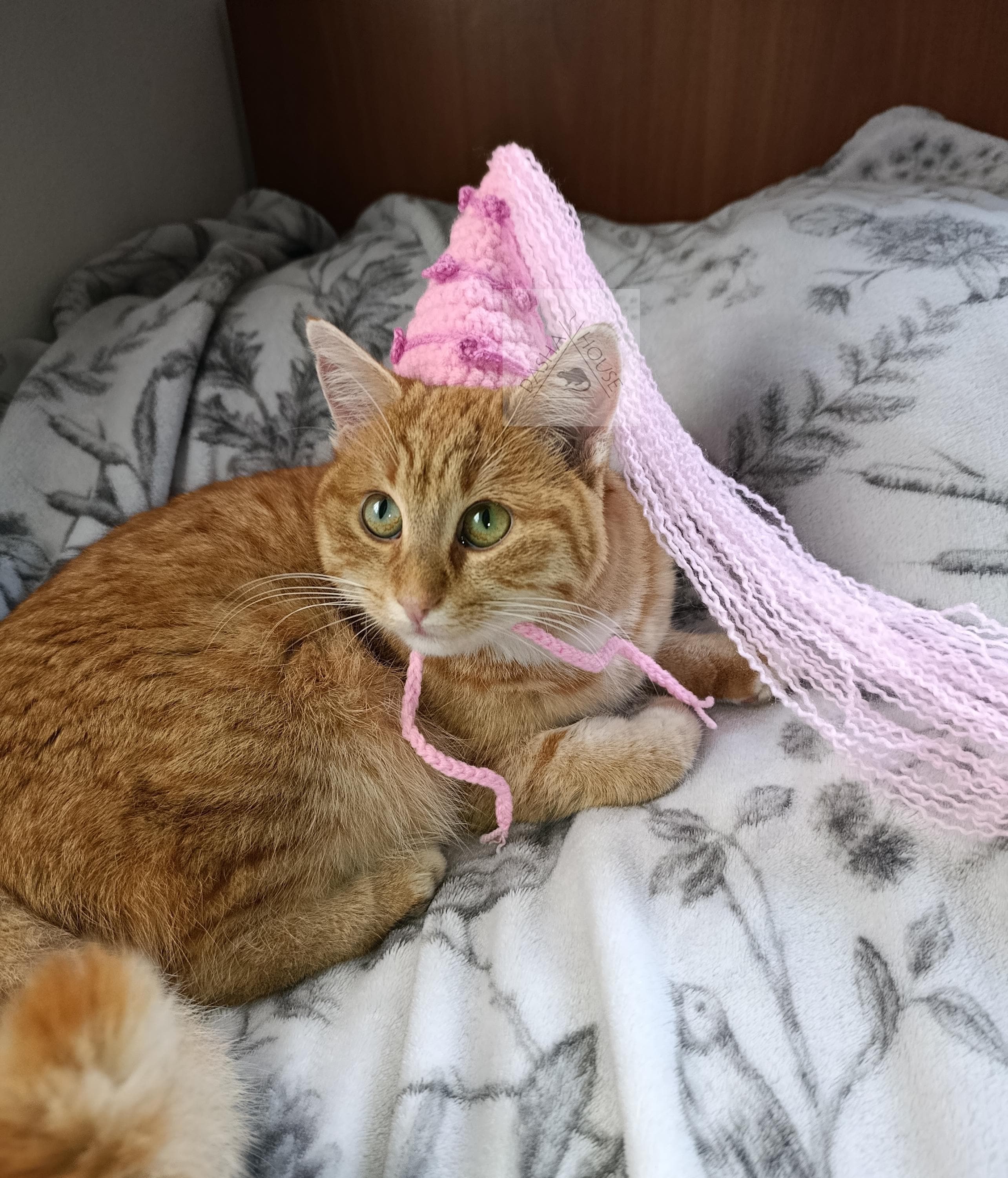 36 Cat Hat Crochet Patterns for Cozy, Costume, and Playful Crochet Projects 29 Princess Cat Hat Crochet