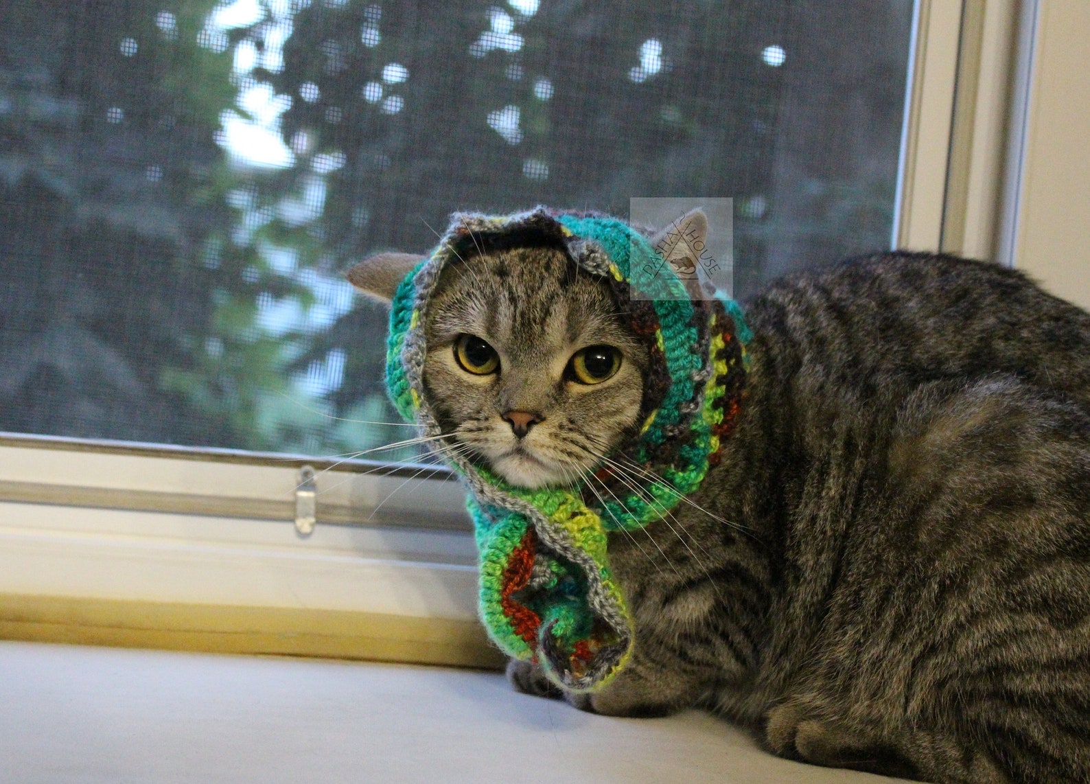 Babushka Scarf Cat Crochet Pattern/ Shawl Wrap for Cat Small Etsy