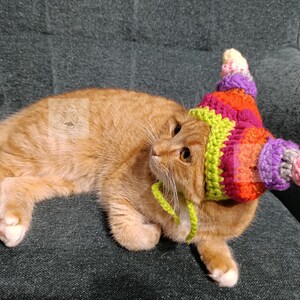 May include: An orange tabby cat wearing a colorful, crocheted hat with a pointed top. The hat features stripes of pink, orange, purple, and yellow. The word "PATTERN" is vertically printed in white letters on the left side.