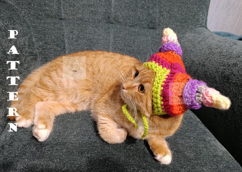 May include: An orange tabby cat wearing a colorful, crocheted hat with a pointed top. The hat features stripes of pink, orange, purple, and yellow. The word "PATTERN" is vertically printed in white letters on the left side.