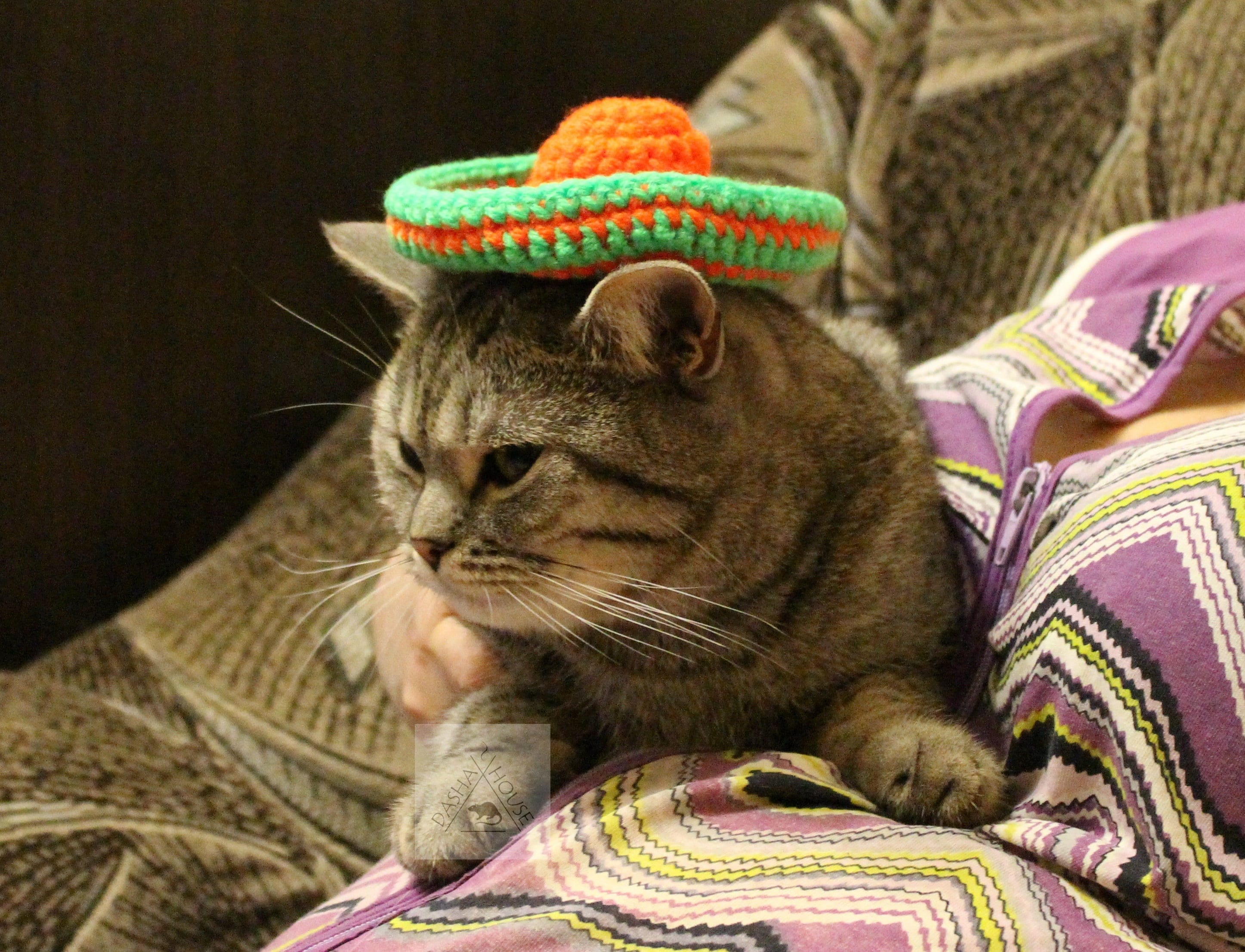 Cat and Small Dog Sombrero Crochet Pattern