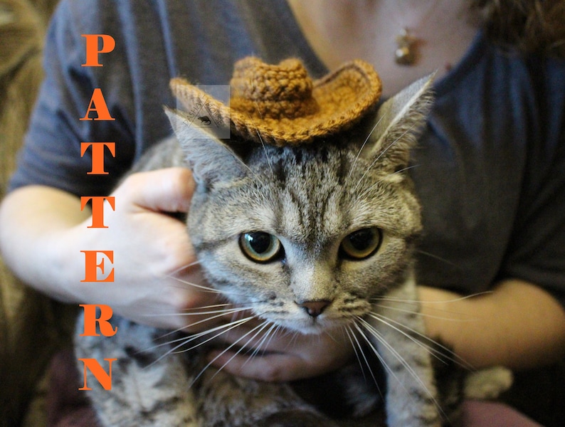 Puede incluir: Un gato atigrado con un peque&ntilde;o sombrero de vaquero de ganchillo marr&oacute;n. La palabra "PATTERN" est&aacute; escrita verticalmente en letras naranjas en el lado izquierdo de la imagen. El gato est&aacute; siendo sostenido por una persona.