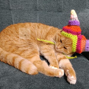 May include: An orange tabby cat wearing a colorful, crocheted hat with a spiral design. The hat features bands of green, orange, pink, purple, and yellow. The word "PATTERN" is vertically displayed in white letters on the left.