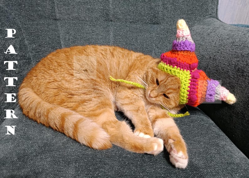 May include: An orange tabby cat wearing a colorful, crocheted hat with a spiral design. The hat features bands of green, orange, pink, purple, and yellow. The word "PATTERN" is vertically displayed in white letters on the left.