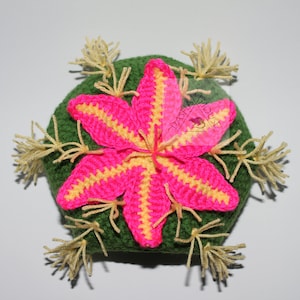 K&ouml;nnte beinhalten: Ein handgefertigter H&auml;kelkaktus mit einer leuchtend rosa und gelben Bl&uuml;te. Der Kaktus ist gr&uuml;n, mit beigen Garnakzenten. Das Wort "PATTERN" wird vertikal in schwarzen Buchstaben auf der linken Seite des Bildes angezeigt.