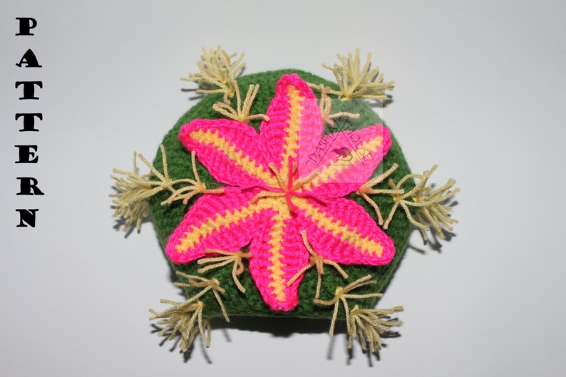 K&ouml;nnte beinhalten: Ein handgefertigter H&auml;kelkaktus mit einer leuchtend rosa und gelben Bl&uuml;te. Der Kaktus ist gr&uuml;n, mit beigen Garnakzenten. Das Wort "PATTERN" wird vertikal in schwarzen Buchstaben auf der linken Seite des Bildes angezeigt.