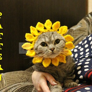 May include: A gray cat wearing a yellow crochet sunflower collar. The cat is being held by a person. The word "PATTERN" is written vertically in yellow letters on the left side of the image.
