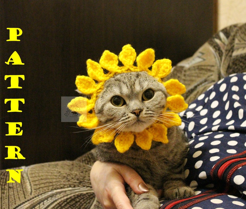 May include: A gray cat wearing a yellow crochet sunflower collar. The cat is being held by a person. The word "PATTERN" is written vertically in yellow letters on the left side of the image.