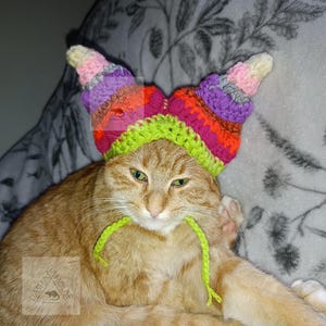 May include: An orange tabby cat wearing a colorful, handmade crochet hat with horn-like projections. The hat features shades of pink, purple, orange, and green. The cat has green eyes and a green yarn tie.