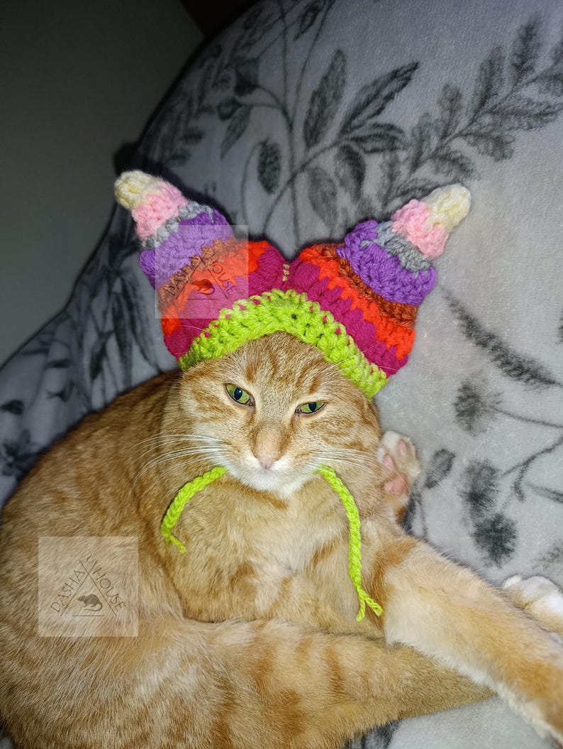 May include: An orange tabby cat wearing a colorful, handmade crochet hat with horn-like projections. The hat features shades of pink, purple, orange, and green. The cat has green eyes and a green yarn tie.
