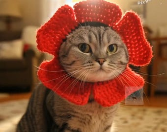 Padrão de crochê para chapéu de flor vermelha para gato/ Fantasia para animais de estimação de pequeno porte para primavera e verão (Download em PDF)