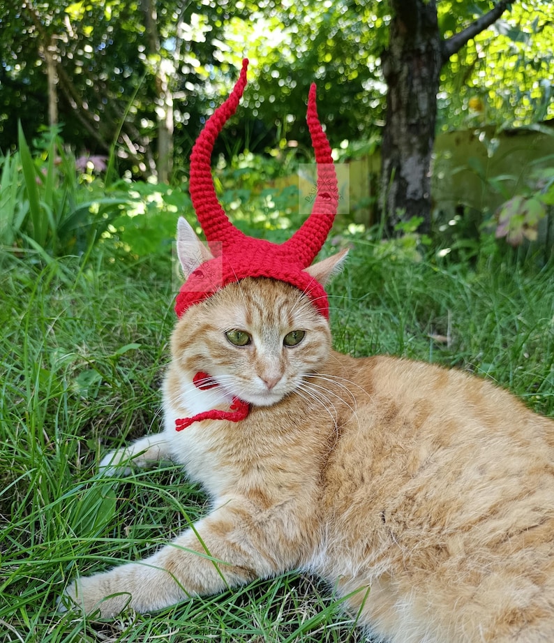 May include: A bright red crocheted hat featuring two tall, curved horns extending upward from the top. The hat is designed with a chin strap that ties securely under the neck, crafted from yarn with a visible textured stitch pattern throughout.
