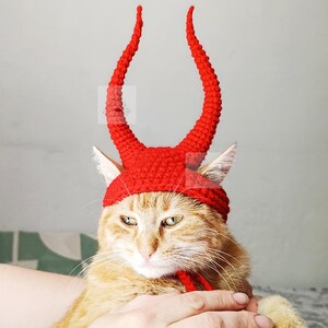 May include: A bright red crocheted hat designed for a cat, featuring two tall, curved, pointed horns extending upward from the top. The hat has a snug fit around the head with openings for the ears and includes thin red ties under the chin.