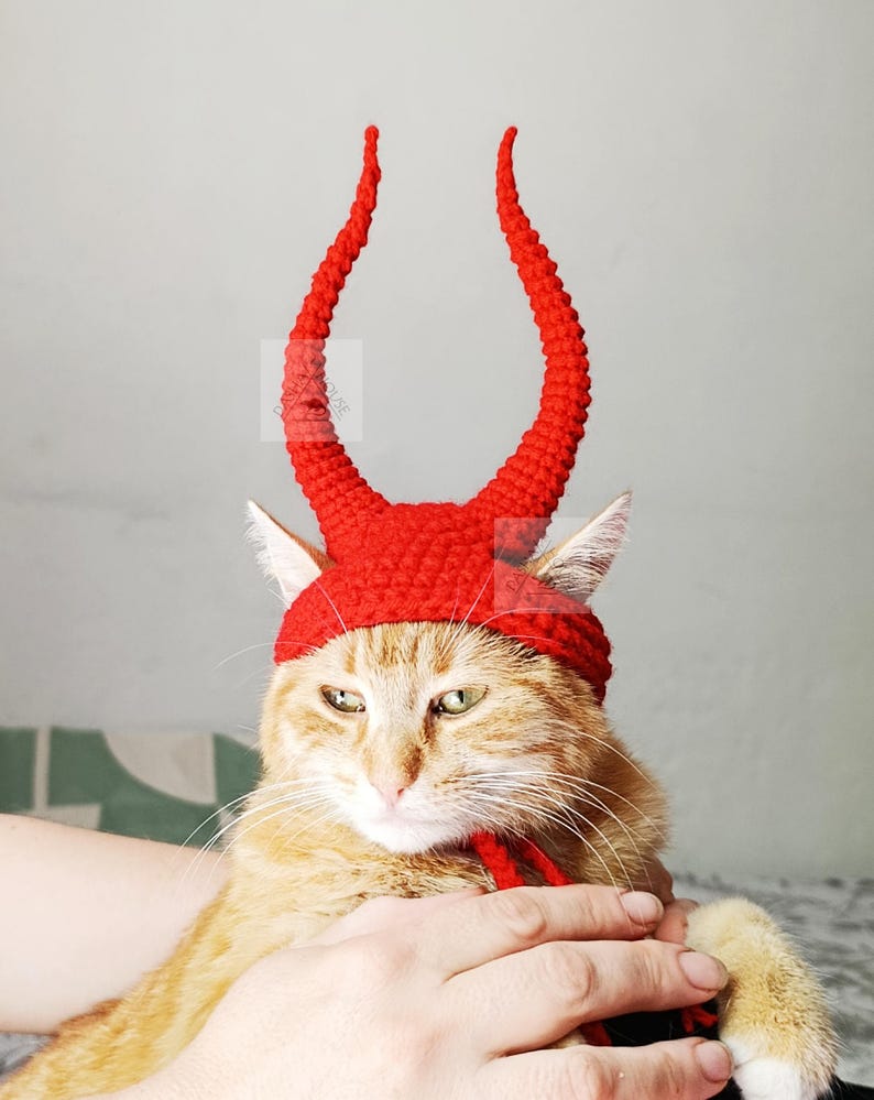 May include: A bright red crocheted hat designed for a cat, featuring two tall, curved, pointed horns extending upward from the top. The hat has a snug fit around the head with openings for the ears and includes thin red ties under the chin.