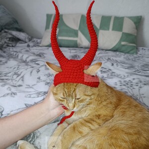 May include: A bright red crocheted hat designed for a cat, featuring two tall, curved, textured horns extending upward from the top. The hat includes ear holes and a thin red chin strap to secure it in place, crafted with a dense, uniform stitch pattern.
