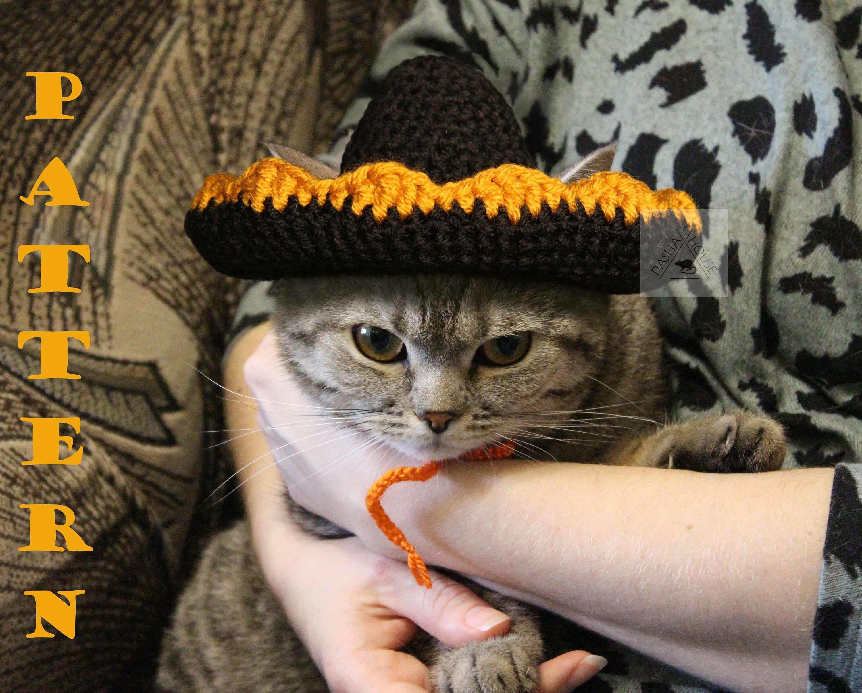 Small dog sale sombrero