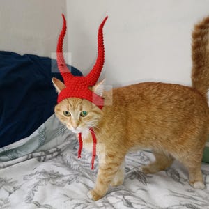 May include: A bright red crocheted hat for a cat, featuring two long, curved, textured horns extending upward from the top. The hat includes thin red ties that hang down from the sides to secure it under the chin, crafted with a visible yarn stitch.