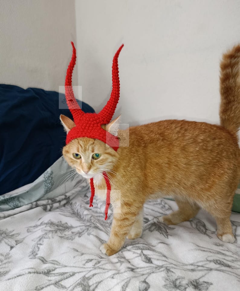 May include: A bright red crocheted hat for a cat, featuring two long, curved, textured horns extending upward from the top. The hat includes thin red ties that hang down from the sides to secure it under the chin, crafted with a visible yarn stitch.